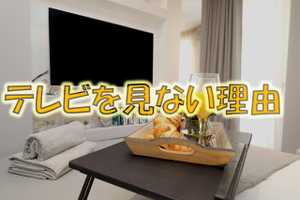 テレビを見ない